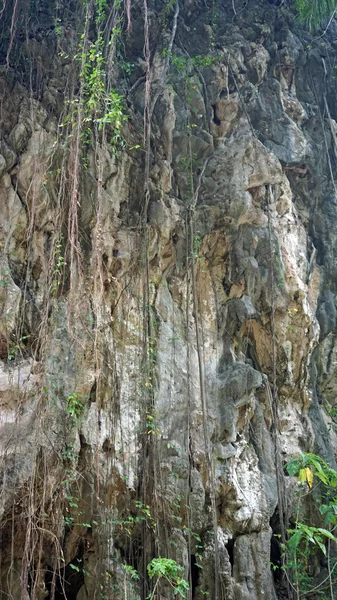 Limestone close up — Stock Photo, Image