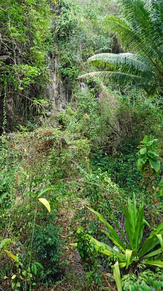 Landscpae verde en Tailandia — Foto de Stock