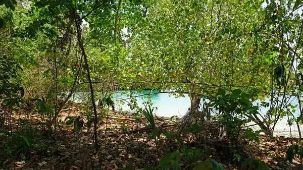 Paisagem verde na Tailândia — Fotografia de Stock