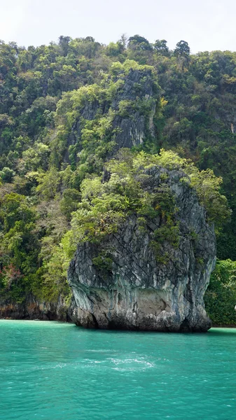 Zielony krajobraz w Tajlandii — Zdjęcie stockowe