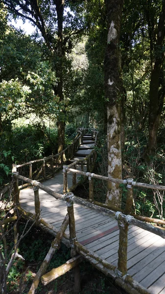 Parc national de Doi Inthanon — Photo