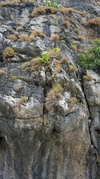 Limestonerocks w Tajlandii — Zdjęcie stockowe