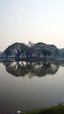 bir su birikintisi ayna