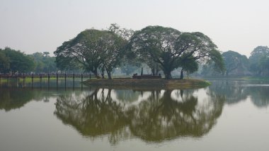 bir su birikintisi ayna