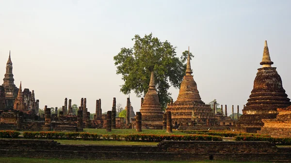 Chrám v sukhothai národním parku — Stock fotografie