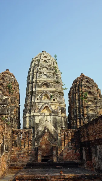 Tapınakta sukhothai Milli Parkı — Stok fotoğraf