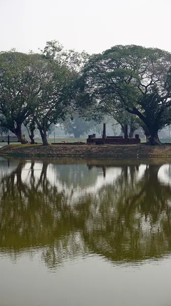 Miroir dans un étang — Photo