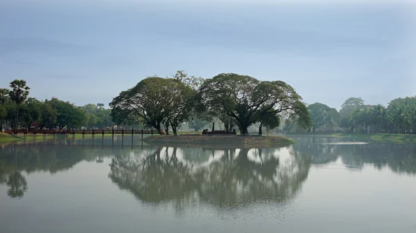 Miroir dans un étang — Photo