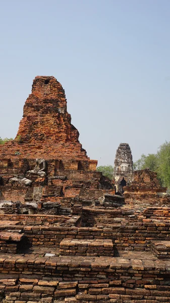 Świątynia w sukhothai national park — Zdjęcie stockowe