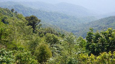 Doi Inthanon nationalpark