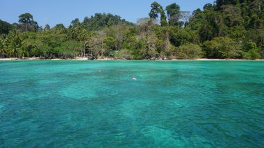 Ko lanta kıyı şeridi