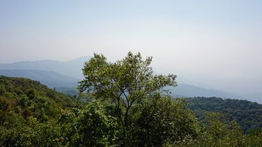 Doi Inthanon nationalpark