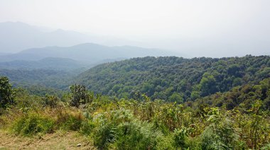 Doi Inthanon nationalpark