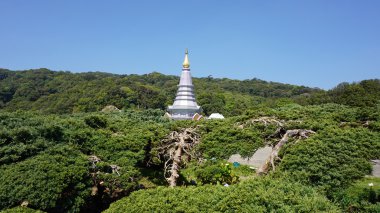 doi Inthanon adlı yeni