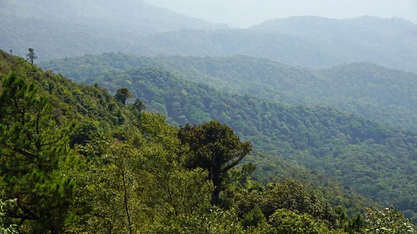 Doi Inthanon nationalpark — Stockfoto