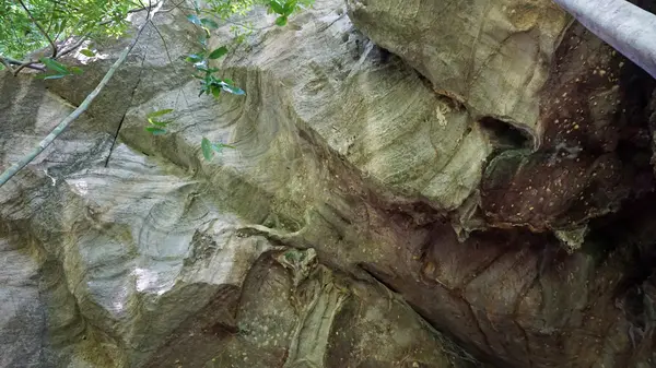 Unberührter Regenwald in Thailand — Stockfoto