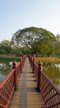 sukhothai tarihi park su birikintisi