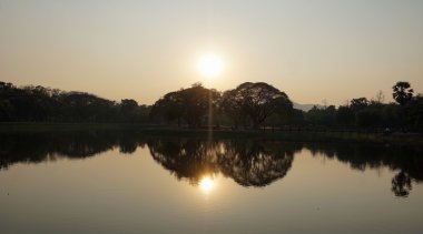 bir su birikintisi ayna