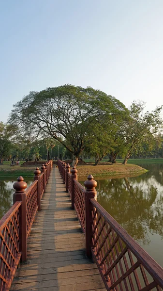 Étang dans le parc historique de Sukhothai — Photo