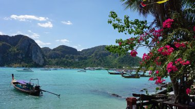 geleneksel longtail tekne