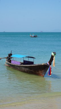 Tayland 'da tropik plaj