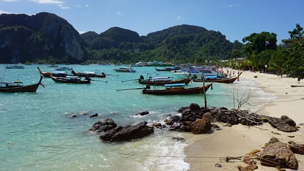 geleneksel longtail tekne