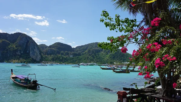 geleneksel longtail tekne