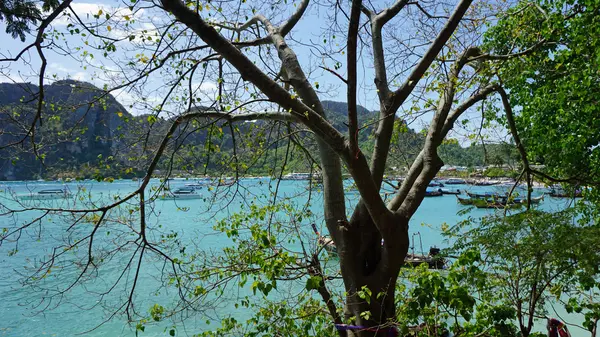 Isla tropical en Tailandia — Foto de Stock