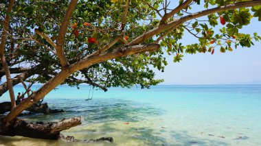 Ko lanta kıyı şeridi