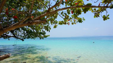 Ko lanta kıyı şeridi