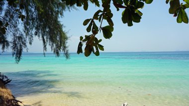 Ko lanta kıyı şeridi