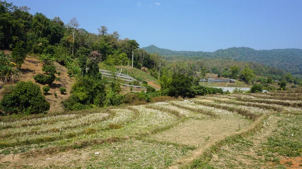 Antiguo pueblo en Tailandia — Foto de Stock