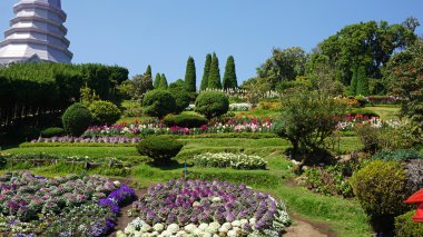 doi Inthanon adlı yeni