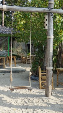 Tonsai ko phi phi üzerinde defne