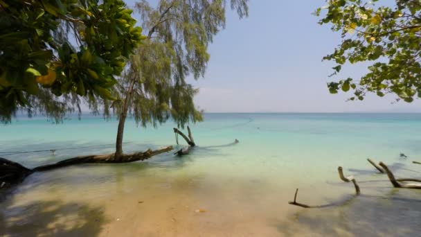 Tropical coast of ko lanta in thailand — Stock Video