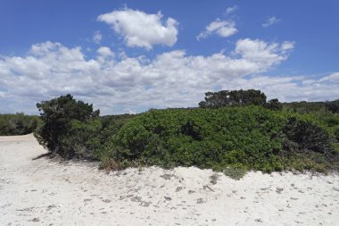 kum tepeleri İspanya