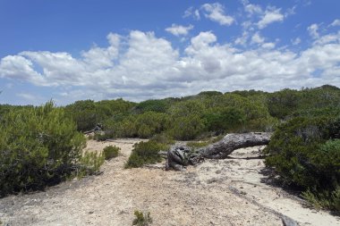 kum tepeleri İspanya