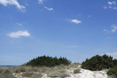 kum tepeleri İspanya