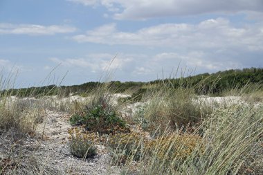 kum tepeleri İspanya