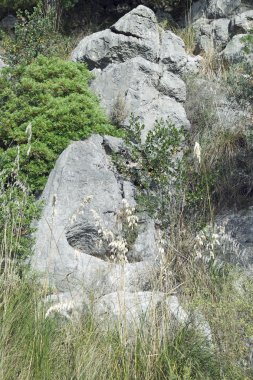 Mallorca'da adada manzara