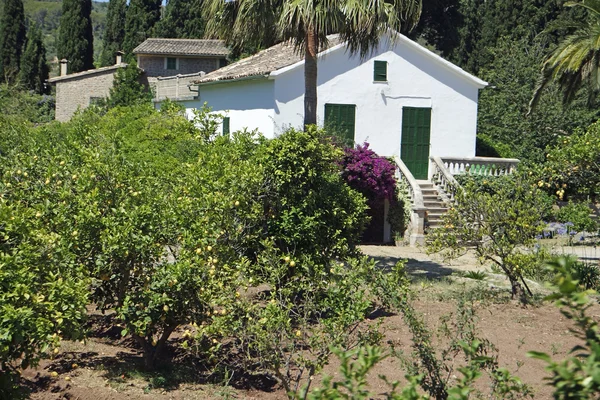 Bergdorf auf Mallorca — Stockfoto