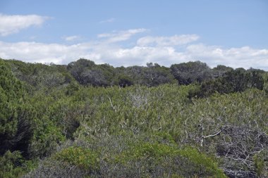 kum tepeleri İspanya