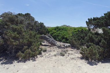 kum tepeleri İspanya