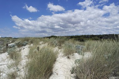 kum tepeleri İspanya