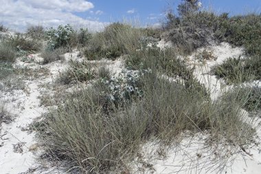 kum tepeleri İspanya