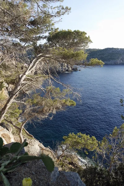 Coast of mallorca — Stock Photo, Image