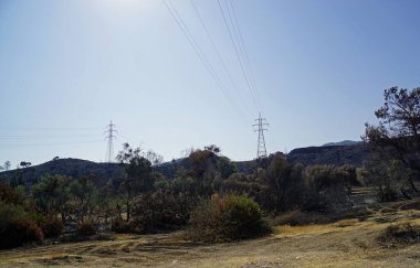 Orman yangınından sonra Yunanistan 'daki Rhodes Adası' nda yanmış manzara