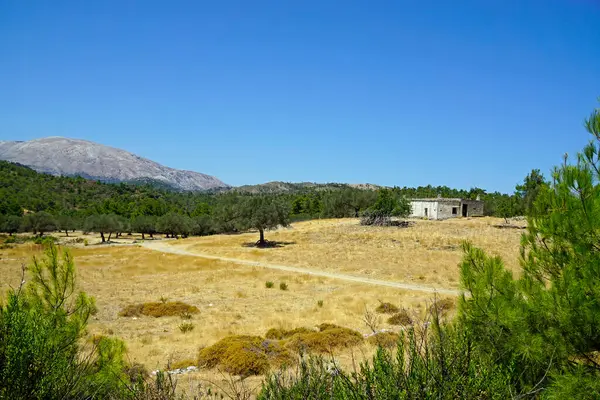 Paisaje Verde Escénico Isla Rhodes Grecia —  Fotos de Stock