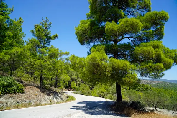 Paisaje Verde Escénico Isla Rhodes Grecia —  Fotos de Stock