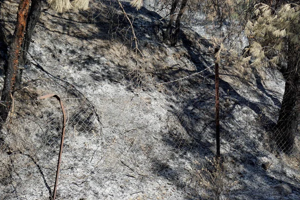 Выжженный Пейзаж Острове Родос Греции После Лесного Пожара — стоковое фото